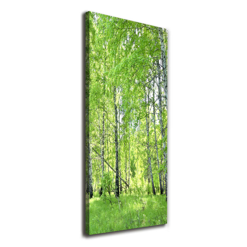 Birch Forest - Wrapped Canvas Print