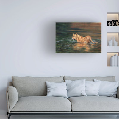«David Stribble Lioness Water», art sur toile