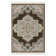 Oriental Indoor Rug