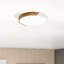 Luling Simply Design Energy-Saving Circle LED Dimmable Flush Mount Ceiling Light Fixture-331281349-331281353