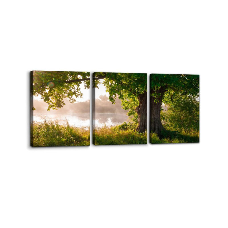3 Piece Wrapped Canvas Wall Art