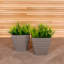 Ayame Pot Planter