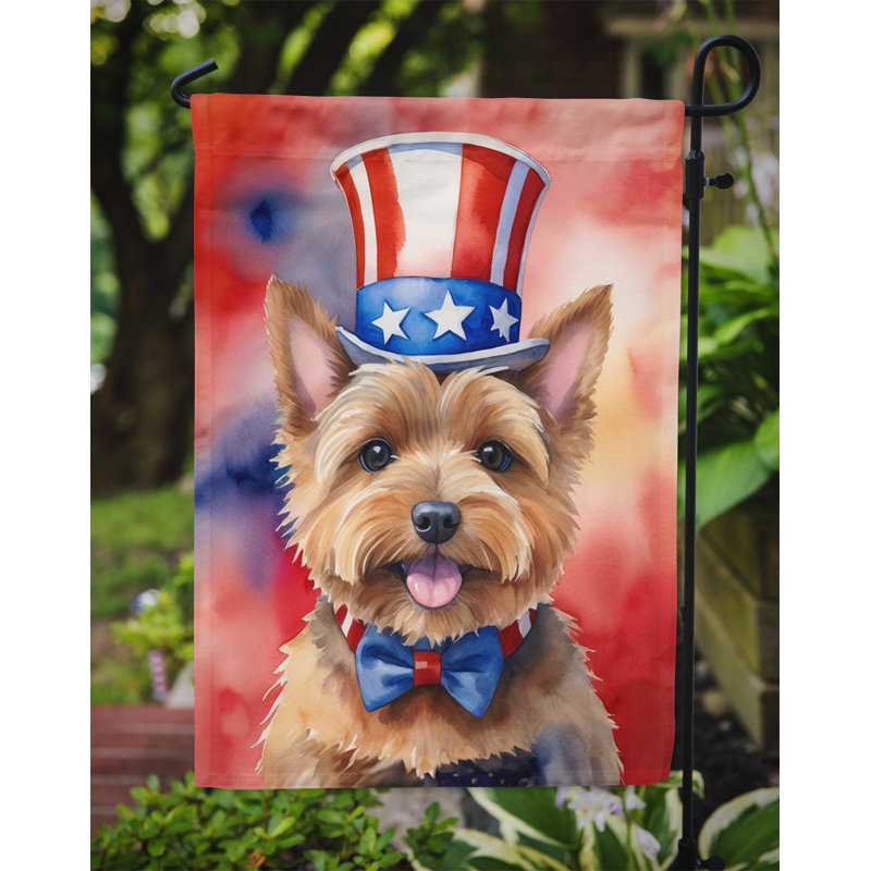Drapeau patriotique du jardin américain, Norwich Terrier