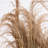 4ft. Artificial Pampas Grass
