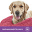 Silentnight Calming Plush Donut Pet Bed-55843483-93676159