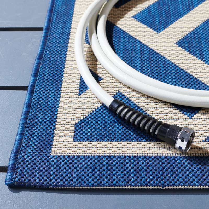 Arneshia Southwestern Aqua Indoor/Outdoor Area Rug, Runner 2'3" x 8'