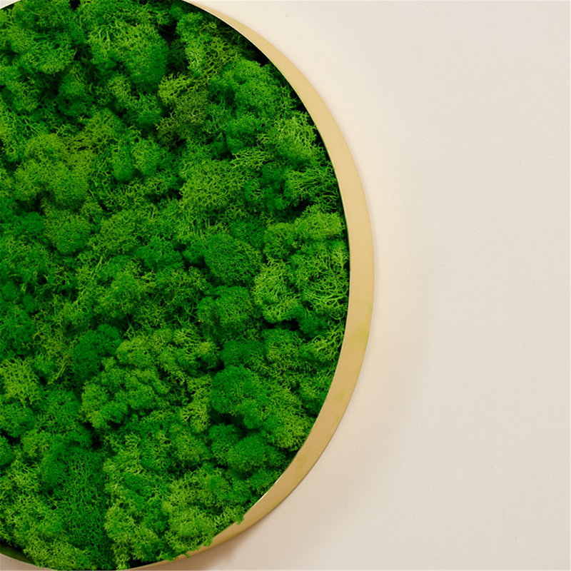  Art mural rond 18 po - Mousse de renne préservée dans un cadre en fer, décor naturel moyen (18,1 x 18,1 x 2 po) - seulement le papier moyen