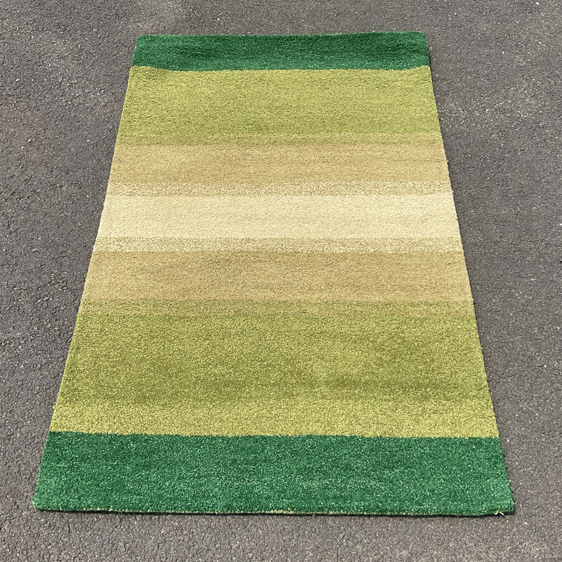 Tapis beige / vert en laine touffeté à la main, Rectangle 3 pi x 5 pi