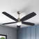 Ceaira 52'' Ceiling Fan with LED Lights