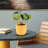 Golden Bee Ceramic Cache Pot- Short