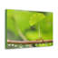 No Frame Print on Canvas-1348659130