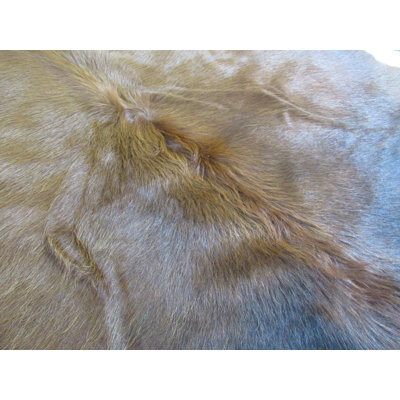 Shivan Leather Indoor Rug