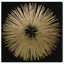 «Abstract Sunburst Golden Night», impression-51241198-119864311-51241194