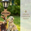Statue de jardin Labrador