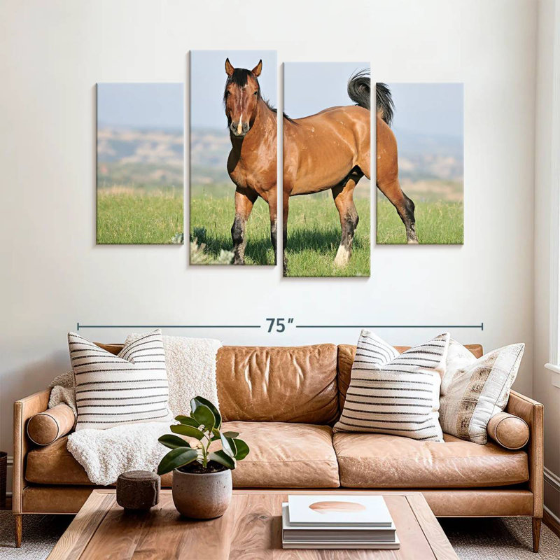 Majestic Wild Horse