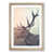 Oak Framed