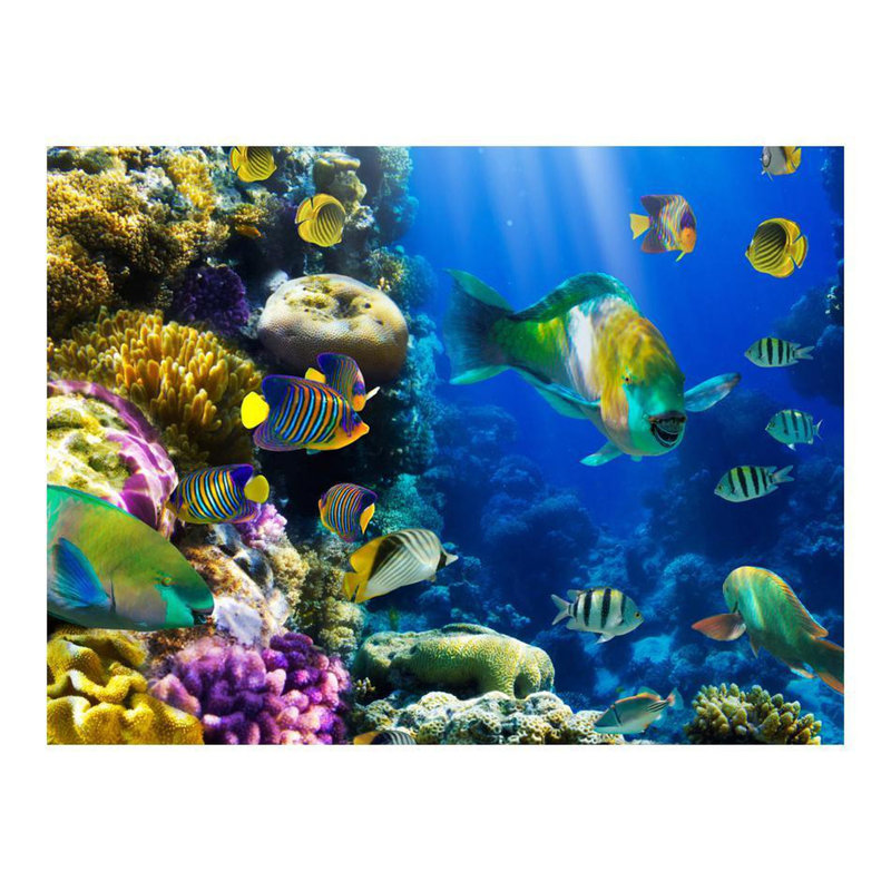 Altay Wall Mural, 121" L x 157" W, Non-Woven