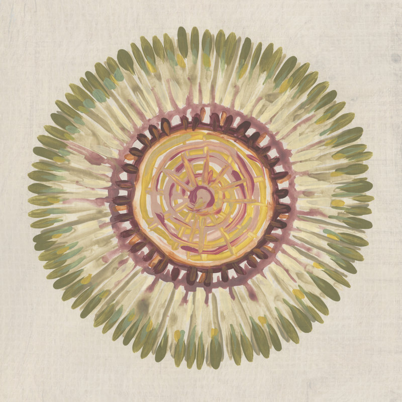 Radial Aura I by June Erica Vess - Wrapped Canvas Print, 30 cm H x 30 cm W