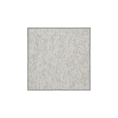 Tapis gris soyeux et moelleux