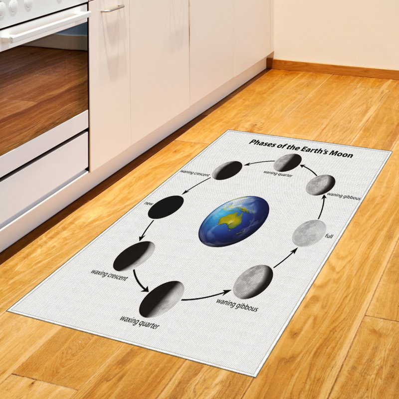 Educational Science High Density Long Fiber Poly Threads Decorative Area Rug Carpet, Rectangle 2'7" x 5'