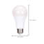 11.5 Watt LED Bulb