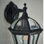 Beijing 41cm H Outdoor Wall Lantern