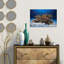 Marine Life by Barathieu Gabriel - Wrapped Canvas Print-974508062