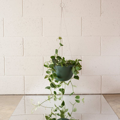 Stainless Steel Hanging Plant Pot