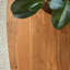 Bonnie Solid Wood Coffee Table