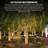 Beegle Outdoor 200 - Bulb 0.2'' LED Rope String Light