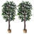 Faux Ficus Tree 