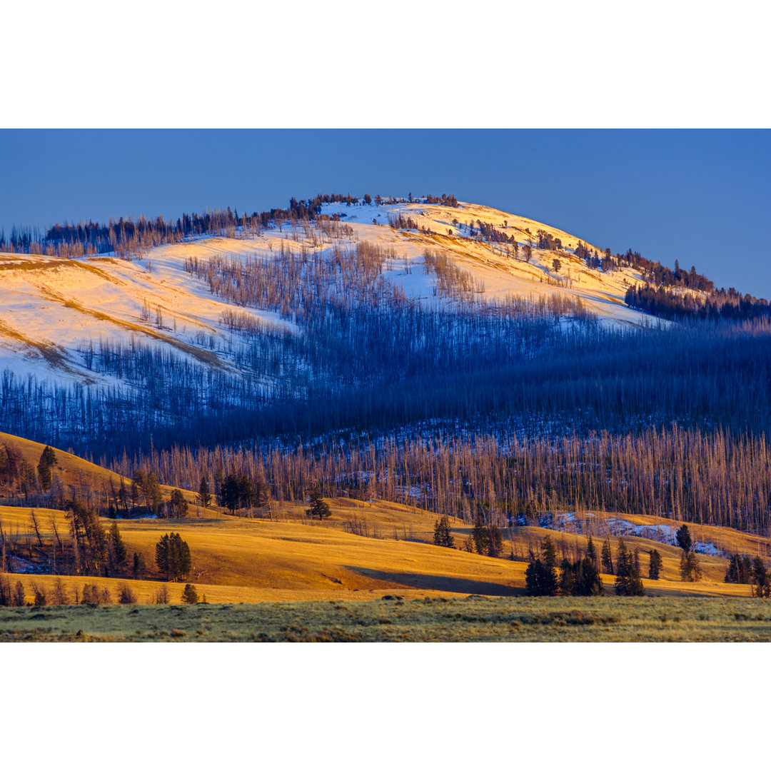 Yellowstone National Park von Don White - Drucken