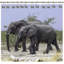 Anneaux de rideau de douche Elephant