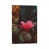 Wrapped Canvas