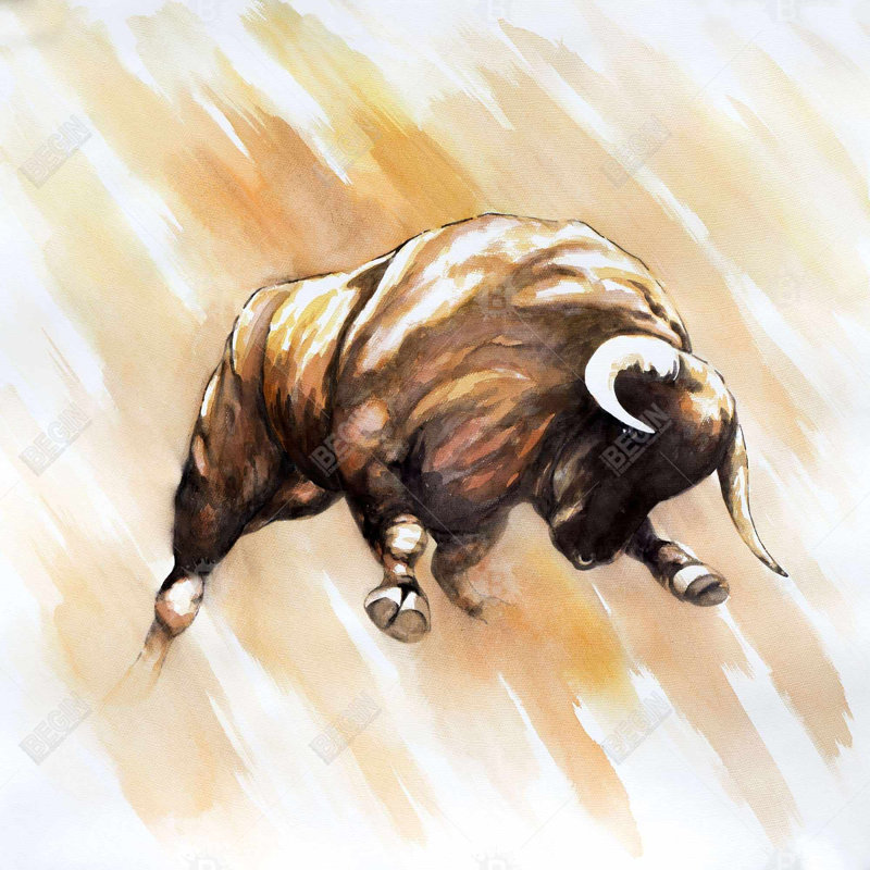 «Bull To Attack»