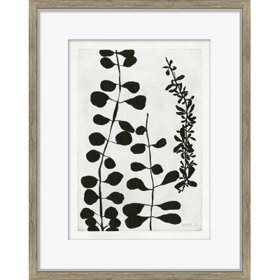 Clover Giclee Print by Susan Hable