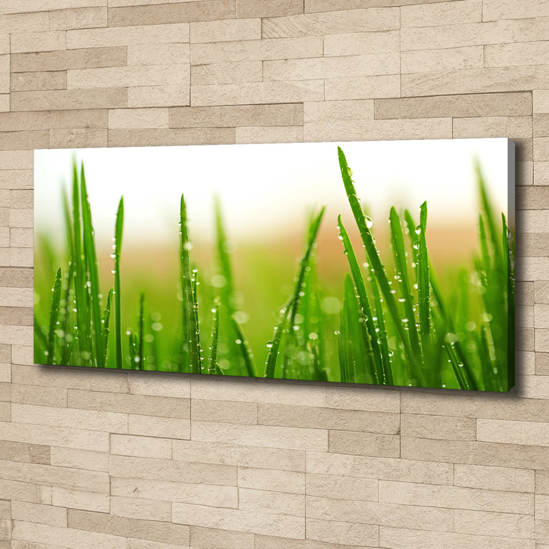 Grass - No Frame Print on Canvas