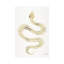 Squelette Strickler-35538872-72409722-72409735