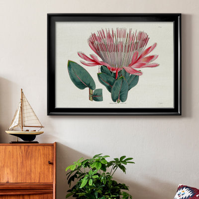 Protea N17 - Peinture sur toile encadrée