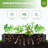 Galvanized Raised Garden Bed with Mesh Crop Cage, Rectangular Planter Box with Animal Protection Net-753054497