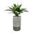 21'' Faux Agave Succulent in Pot