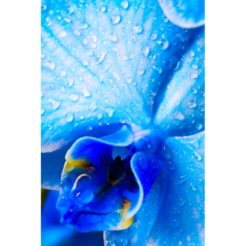 Blue Orchid par Neoblues, H 48 po x l 32 po