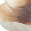 Bol ovale ondulé Uttermost Organic Elegance