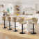 Swivel Adjustable Height Modern Bar& Counter Stool