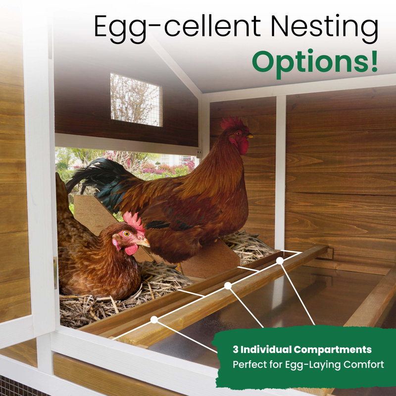 Tincher 33.2 Square Feet Chicken Coop with Chicken Run For Up To 6 Chickens