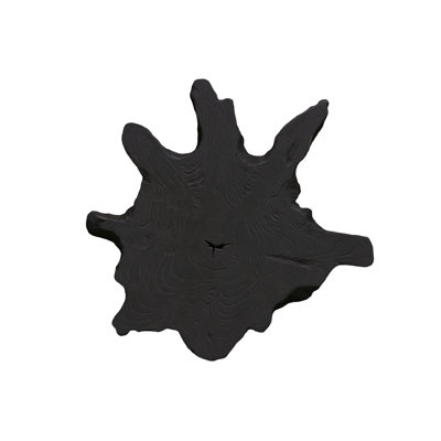 Teak Slice Wall Décor, Md, Black
