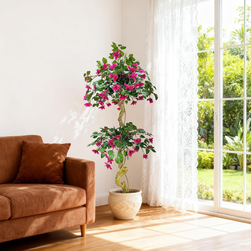 150cm Plant