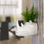 Planter-2088404598