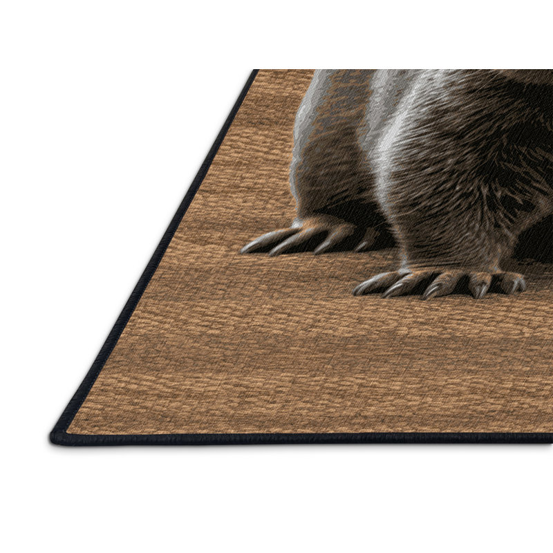  Tapis lavable Wombat, Carré 7 pi
