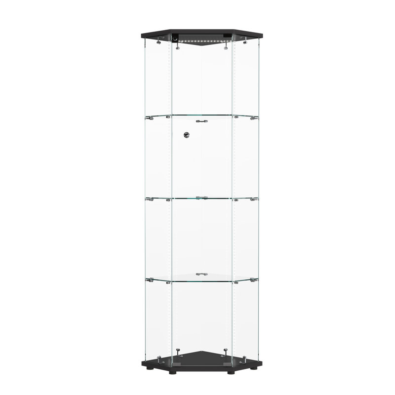 Glass 60 cm W Display Cabinet